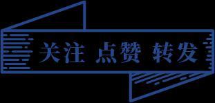 全球最大游艇“REVOcean”号将在达门船厂进行舾装(图13)