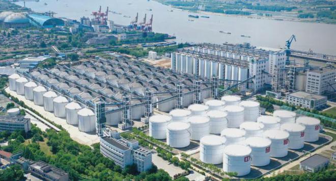 米乐M6：导油大豆油十大压榨集团(图3)