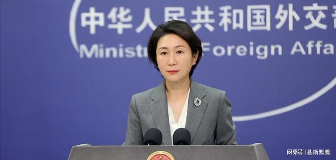 60亿债务将袭来我方为美献出一策特朗普大变G20是关键节点(图27)