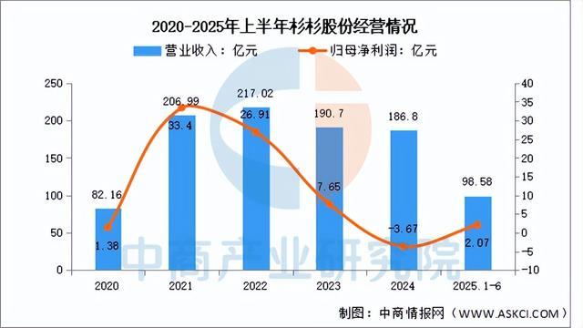 米乐M6：2025年中国负极材料行业市场前景预测研究报告（简版）(图10)