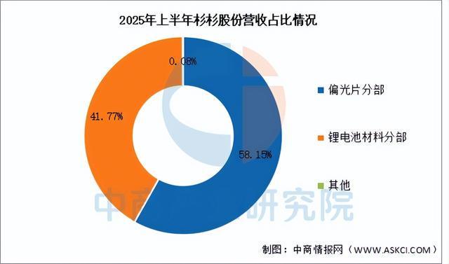 米乐M6：2025年中国负极材料行业市场前景预测研究报告（简版）(图11)