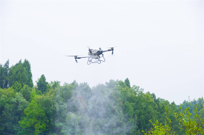 工业兴川系列报道▏成都金堂：锚定千亿级锻造绿色制造“硬核”产能(图4)