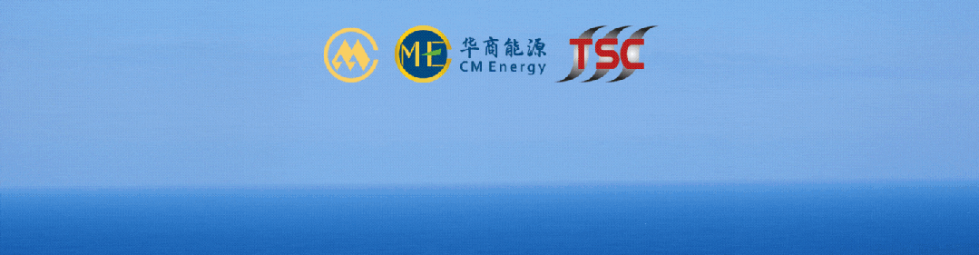 1000T+1600T龙门吊！江苏一线船厂产能大提升(图6)